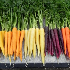 Buy Fresh Carrots Online