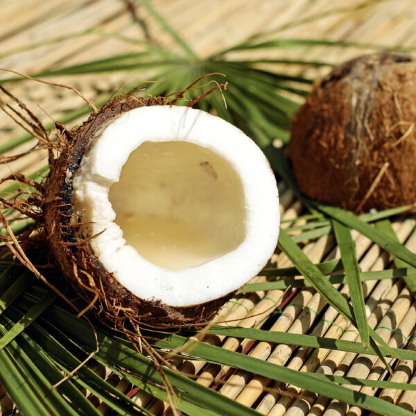 Buy Coconuts Online