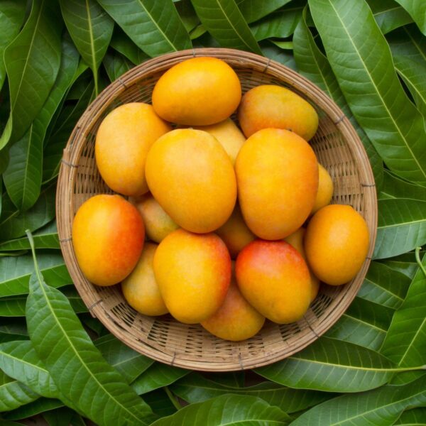 Buy Mangos Online