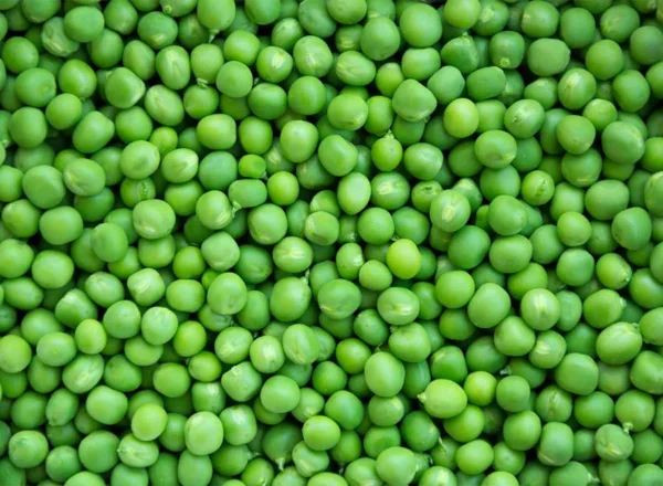 Buy Peas Seeds Online