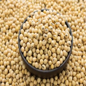 Buy Soybean Online