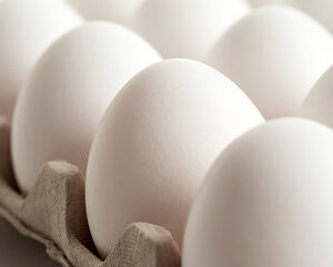 Buy White Eggs Online