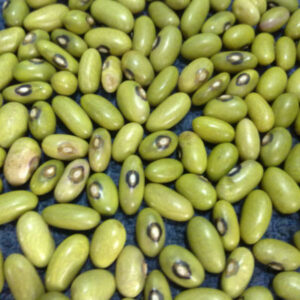 Buy White Kidney Beans Online